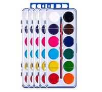 Watercolour Painting Set, 5 x Multi-Coloured Art Watercolour Set for Classroom, Kindergarten and Creative Activities, Paints For Teens and Adults,