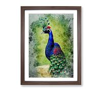 Watercolour Peacock No.1 Framed Print | A2 Walnut Framed Wall Art | Ready to Hang | Modern Animal Picture | Living Room Bedroom Lounge Office