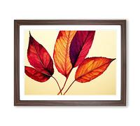 Watercolour Plant Leaf Vol.4 H1022 Framed Print for Living Room Bedroom Home Office Décor, Wall Art Picture Ready to Hang, Walnut A3 Frame (46 x 34 cm)