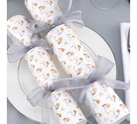 Watercolour Robin | Christmas Cracker Craft Kit | Makes 6 Large Crackers
