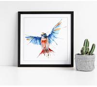 Watercolour style bird blue red spreading wings Stunning Framed Wall Art Picture Print Square - 35cm wide x 35cm high - Black Frame