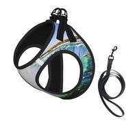 Waterfall And Rainbow Printing Puppy Summer Vest Harness With Reflective,Dog Accessories For Small Medium Large Dogs And Cats