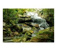 Waterfall Aquarium Background Jungle Forest Lake Stream Natural Landscape Fish Tank Background Tropical Plants Huge Rock with Moss Terrarium Backgrounds Jungle Trees Falls Reptile Backgrounds 60x24in