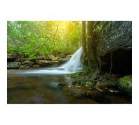 Waterfall Aquarium Background Jungle Forest Stream Fish Tank Background Cave with Lush Green Forest Trees Rocks Falls with Sunbeams Natural Landscapes Reptile Tank Enclosure Backgrounds 48x20in
