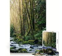 Waterfall at Port Alberni 1000 Piece Jigsaw Puzzles for Adults Jigsaw Boost Memory Peaceful Recreation Quality Cut Memorable Gift (38x52cm)