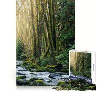 Waterfall at Port Alberni 1000 Pieces Jigsaw Puzzles for Teenagers Clear Thinking Gentle Engagement Firm Interlock Nice Gift (50x75cm)
