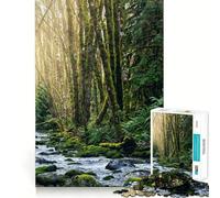 Waterfall at Port Alberni Jigsaw Puzzle 1000 Think Boost Game Tight Lock No Loose Pieces Interactive Brain Challenge for Home (38x52cm)