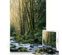 Waterfall at Port Alberni Jigsaw Puzzles 1000 Pieces for Adults Mind Power Mind Soothing Fun Uniform Edges Thoughtful Gift (38x26cm)