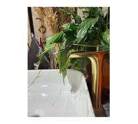 Waterfall Basin Faucet Matte Gold Antique Bathroom Sink Faucet, Solid Brass, One Size - One Size