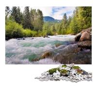 Waterfall in Forest Nature Jigsaws 1000 Pieces for Adults Difficult Puzzles for Adults for Holidays Birthdays And Family Game Nights 1000 PCS(75x50cm)