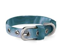 Waterfall Scenery Dog Collar with Buckle Cute Pet Necklet Adjustable Safety Pet Collars for Small Dog Medium Dogs Wide Dog Collar