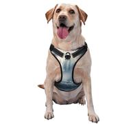 Waterfalls and Heavy Fog Premium Dog Harness for Small, Medium, and Large Dogs - Durable, No Pull with Reflective Straps and Quick Release BucklesSmall