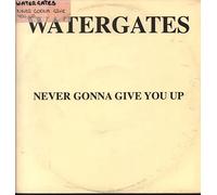 Watergates - Never gonna give you up (Club Mix/Instr., 1992, UK) / Vinyl Maxi Single [Vinyl 12'']