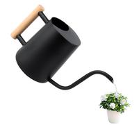 Watering Can 1 L, Watering Can Indoor Plants Small Indoor Watering Can with Long Spout and Comfortable Wooden Handle, Stainless Steel Watering Can Black for Potted Plants Succulents, Metal Garden