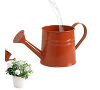 Watering Can | 1 Litre Iron with Handle and Long Spout - Space Saving Garden Watering Can - for Home Garden Yard Patio Path Outdoor Bonsai Landscape