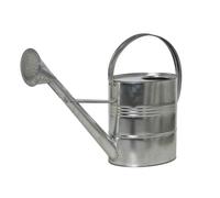 Watering Can 10l Silver Jug Flower Flowers Plants Watering Garden New