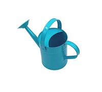 Watering can | Blue | holds 1.3 litre | strong metal | fixed rose