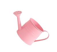 Watering Can For Indoor Plant Small For House Plant Garden Flower Long Spout Water For Outdoor Ergonomic Handle Garden Watering Can