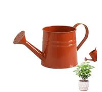 Watering Can for Indoor Plants, 1 Litre, Iron, Modern Garden Tool - Watering Can for Indoor Plants, for Home, Garden, Yard, Patio, Path, Outdoor, Bonsai, Landscape