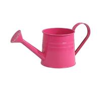 Watering Can for Indoor Plants, 1 Litre, Iron with Handle and Long Spout, Watering Can for Indoor Plants, for Home, Garden, Yard, Patio, Path, Outdoor, Bonsai, Landscape