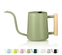 Watering Can for Indoor Plants, 35oz Small Stainless Steel Metal Pot With Long Spout for House Plant, Bonsai, Garden Flowers - Modern Decorative Design (Sage Green)
