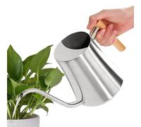 Watering Can For Indoor Plants,Pot With Long Spout - 1L Capacity Decorative House Water Pot For Bonsai Outdoor Garden