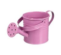 Watering Can for Plants - Decorative Garden Watering Pot with Handle, Galvanised Iron Watering Can for Plants and Flowers, for Gardens, Patios, Gardeners, Family, Friends and Elderly Children