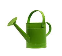 Watering can | Green | holds 1.3 litre | strong metal | fixed rose