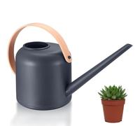 Watering Can Indoor, 1.7L Plant Watering Can for Garden Plants Flowers Hanging （Grey）