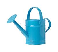 Watering Can Indoor,Mini Watering Can Kids Watering Can Small Metal Garden Plants Watering Pot Watering Equipment for Indoor Flower 1.5L Blue