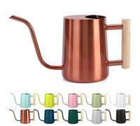 Watering Can Indoor Plants, 35oz Small Watering Can Stainless Steel Metal Watering Cans Modern Decorative Watering Pot with Long Spout for Indoor House Plant Bonsai Garden Flowers- Copper