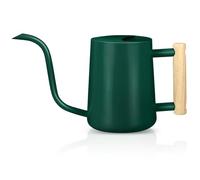 Watering Can Indoor Plants, 35oz Small Watering Can Stainless Steel Metal Watering Cans Modern Decorative Watering Pot with Long Spout for Indoor House Plant Bonsai Garden Flowers- Alpine green