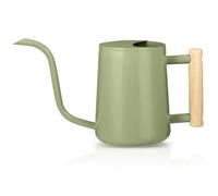 Watering Can Indoor Plants, 35oz Small Watering Can Stainless Steel Metal Watering Cans Modern Decorative Watering Pot with Long Spout for Indoor House Plant Bonsai Outdoor Garden Flowers -Sage