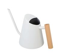 Watering Can Indoor Plants, Decorative Watering Can Small Metal Watering Can Long Spout Watering Can Water Can for Indoor House Plants Bonsai Outdoor Garden Flower Decorative