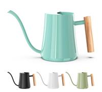 Watering Can Indoor Plants Mint Green 35oz Cute Watering Can Decorative Small Matal Watering Pot for House Bonsai Plants Garden Flower Indoor Outdoor