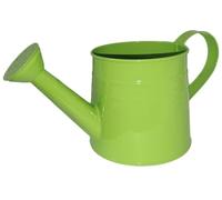 Watering Can Small, Galvanized Metal Watering Can,1 Gallon Matte Vintage Sprinkling Tin Can with Long Spout & Ergonomic Handle(Grün)