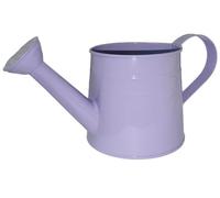 Watering Can Small, Galvanized Metal Watering Can,1 Gallon Matte Vintage Sprinkling Tin Can with Long Spout & Ergonomic Handle(Purple)
