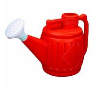 Watering Can with Sprinkler Head, L