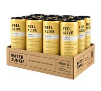 WaterJunkie Coconut & Lychee Sparkling Chaga Mushroom Drink 250ml Case of 12