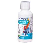 Waterlife Bacterlife P 1000ml Pond Treatment