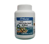 Waterlife Octozin (200 tabs) Hole in The Head Treatment