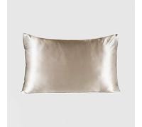 Waterlily 100% Mulberry Silk 22 Momme Pillowcase for Hair and Skin, Hidden Zip Pillowcases 50x75cm Both Sides Soft Natural Organic Luxury Pillow Cases (Champagne)