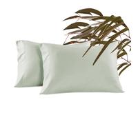Waterlily 100% Tencel Lyocell Pillow cases Eucalyptus Silk Pillowcase Pack of 2 Pillowcases for Hair and Skin Envelope 50x75 Set Natural Organic Softer than Bamboo Luxury Vegan Bedding (Sage)
