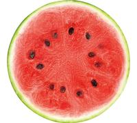Watermelon Blanket Realistic Fast Food Blanket Fun Round Blanket Soft Beach Mat Yoga Floor Mat Cartoon Food Pad for Hiking Travel Camping