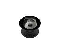 Watermelon Corgi Dog Motion Front Door PopSockets Adhesive PopGrip