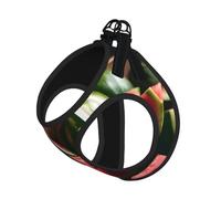 Watermelon Fresh Fruit Print Pet Leash Vest Reflective Adjustable Soft Mesh Vest Breathable For Daily Walks