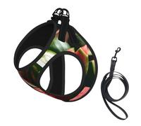 Watermelon Fresh Fruit Print Pet Leash Vest Reflective Adjustable Soft Mesh Vest Breathable For Daily Walks