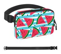 Watermelon Ice Cream-1799 Belt Bag for Men and Women Fanny Pack,Belt Bag with Adjustable Strap,Fashion Crossbody Everywhere Belt Bag for Travel Outdoors Running Hiking, Multicolor,