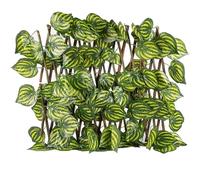 Watermelon Leaves Expandable Retractable Plastic Simulation Trellis Hedge Fence Screening Roll Expanding Fence Garden Fences(2,40cm)