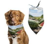 Watermelon on The Ground Dog Bandana Cat Dogs Kerchief Triangle Bibs Scarf Lightweight Breathable Pet Scarfs Adjustable Bib Handkerchief Cute Soft Pet Bib for Small Medium Large Dog